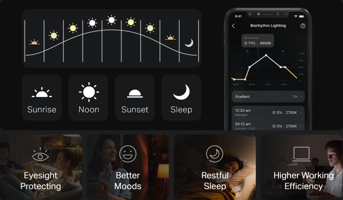 TP-Link Tapo L430C(2-pack)