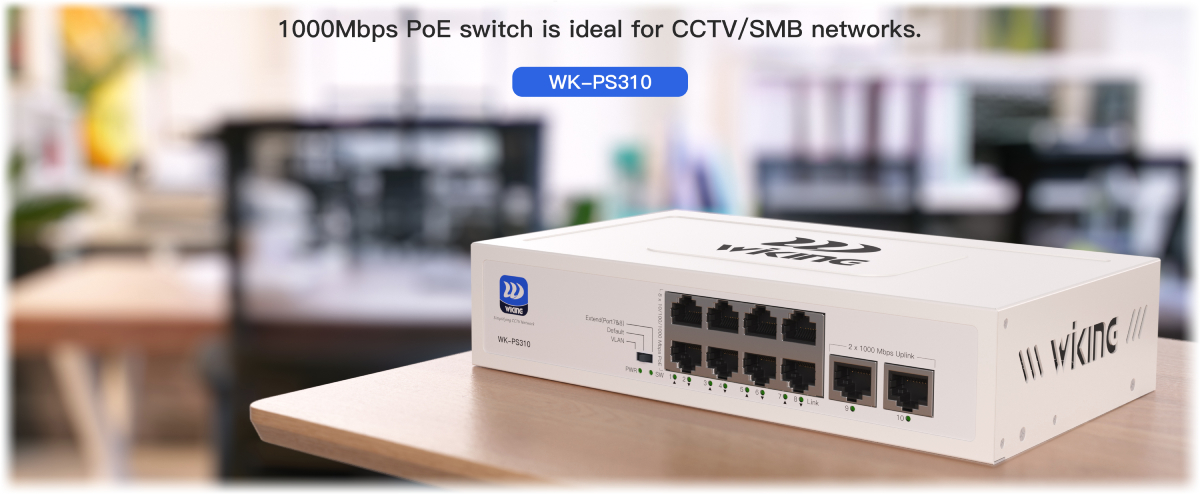 WK-PS310