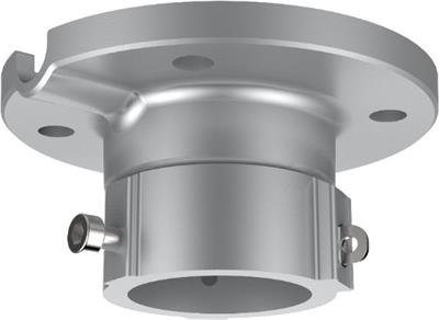 Hikvision DS-1663ZJ-P - Ceiling mount for PTZ and speed dome cameras, gray